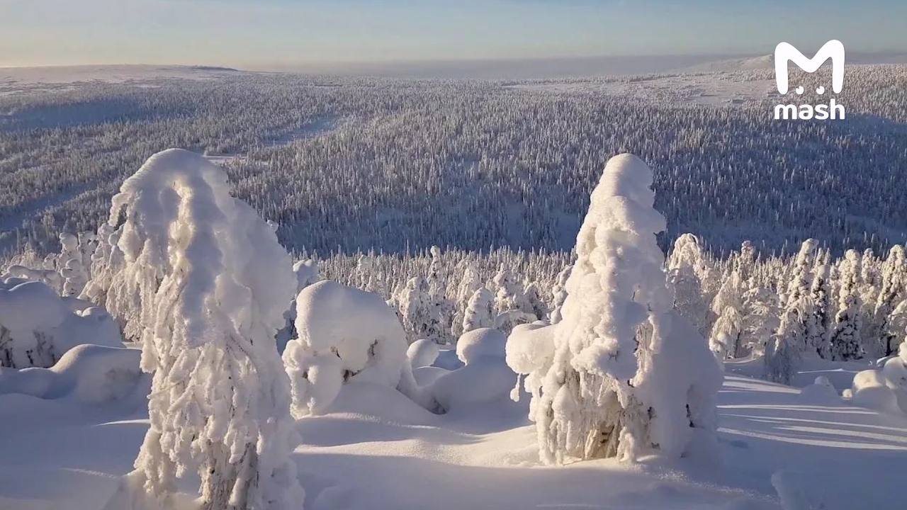 Пятеро туристов на снегоходах пропали в Пермском крае — люди не вернулись с катаний, от них нет вестей четвёртый день Пятеро туристов на снегоходах пропали в Пермском крае — люди не вернулись с катаний, от них нет вестей четвёртый день