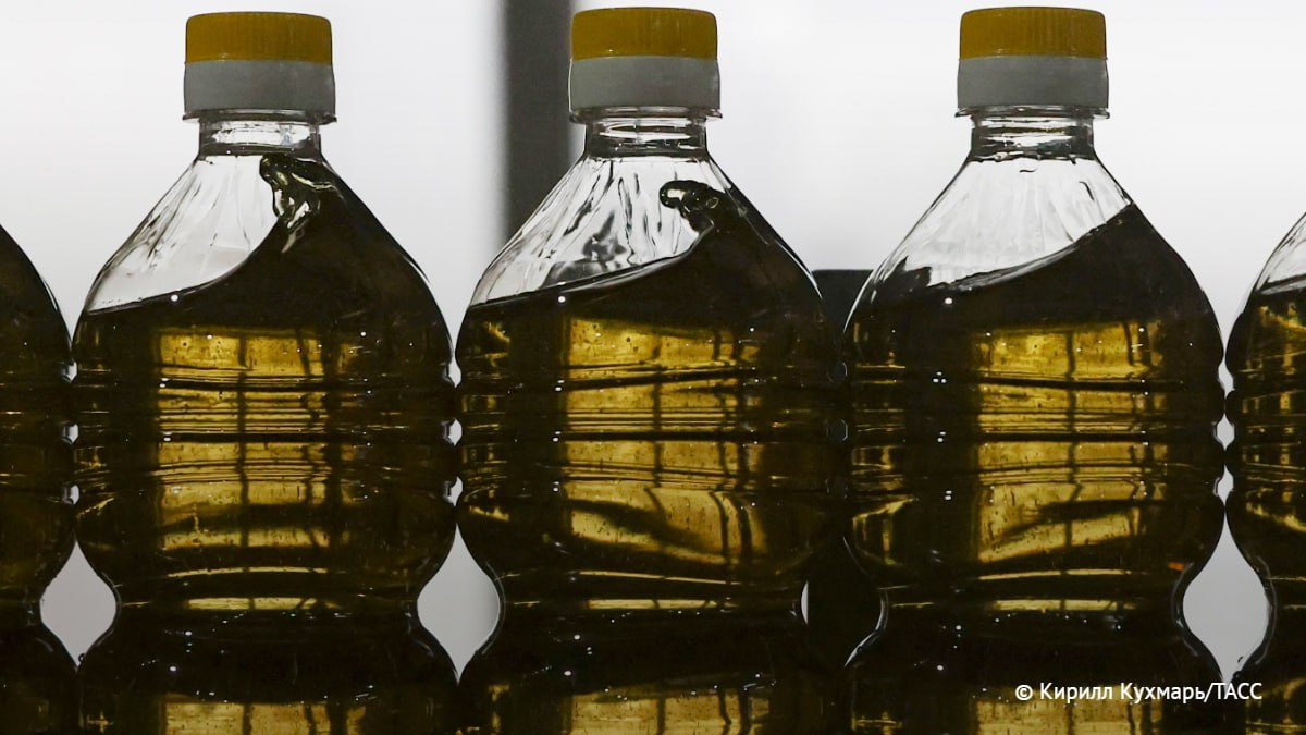 Новый ГОСТ на подсолнечное масло начнет действовать в РФ с июня 2027 года
