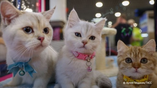 �������� ������ ��������� ����� ������� � ������ ����������� �� ����, ������� ������ ������� "����� � �������������" ����� ������ ���������� � ���������� ����������� 1 ����� ��� �����