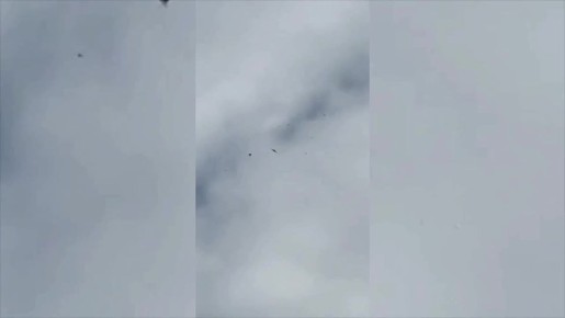 Бойцы ПВО в Крыму демонстрируют работу нового портативного комплекса БВС «Ёлка» московского производства для перехвата беспилотных летательных аппаратов в зоне СВО