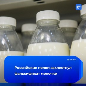 Доля поддельной молочки растет на полках магазинов