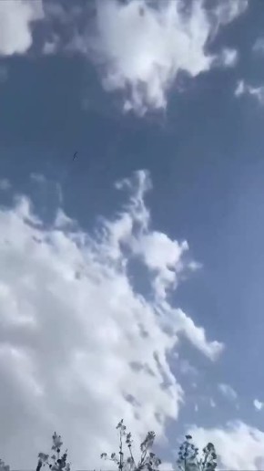 ������ �������� ������ ��� ���������