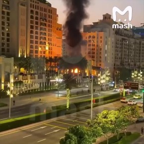 ������� ����� ������ ������ ���� � ����� Fairmont The Palm, ��� ����� �������� ������, ����� ��������