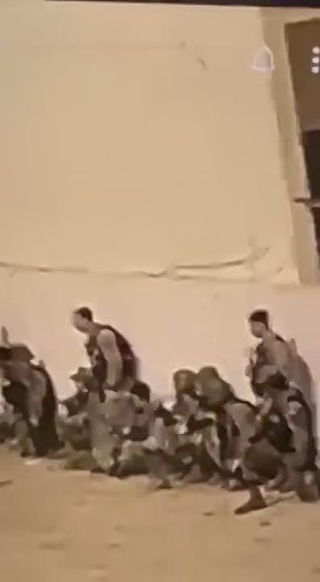 ������������ ������� � �������� � ������ ���� 5-�� �����