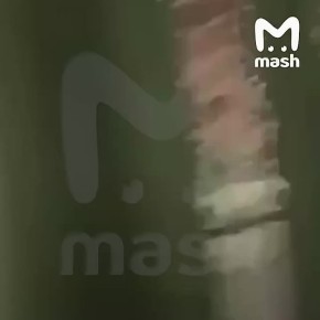 ����� ������ "������" �� ������� � ��������, ������ �������� ����