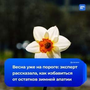 Избавляемся от зимней апатии