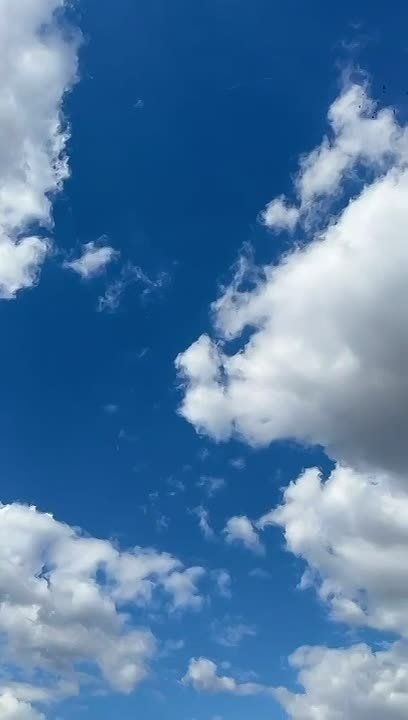 ����� ����� �� ������������ ������������ ����-������: ����� � �������� ������