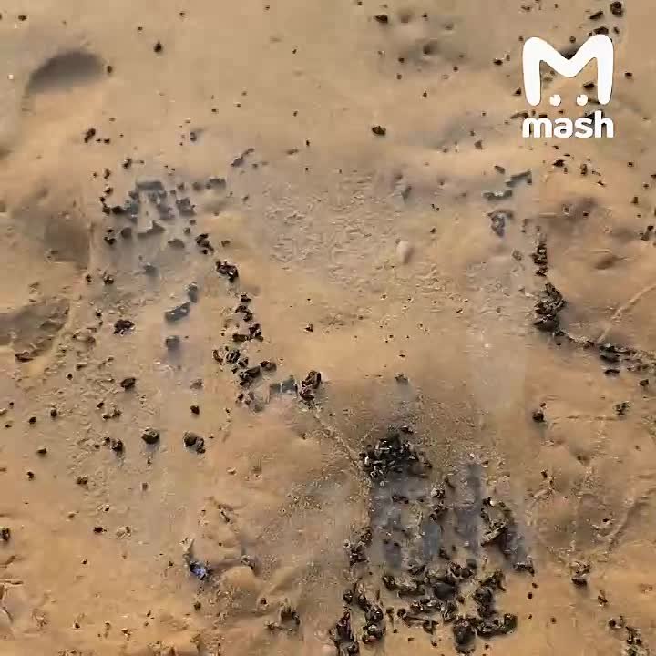 Нефтяные пятна достигли популярных пляжей Шри-Ланки после попадания иранских "Шахедов" по танкерам в Персидском заливе