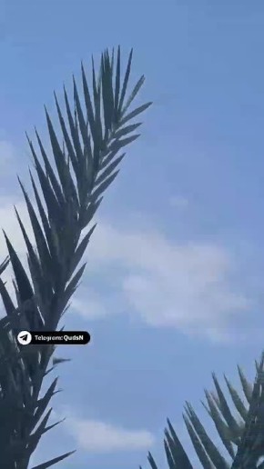 �������� "�����" ���� � ����������� ���� ��� � ������