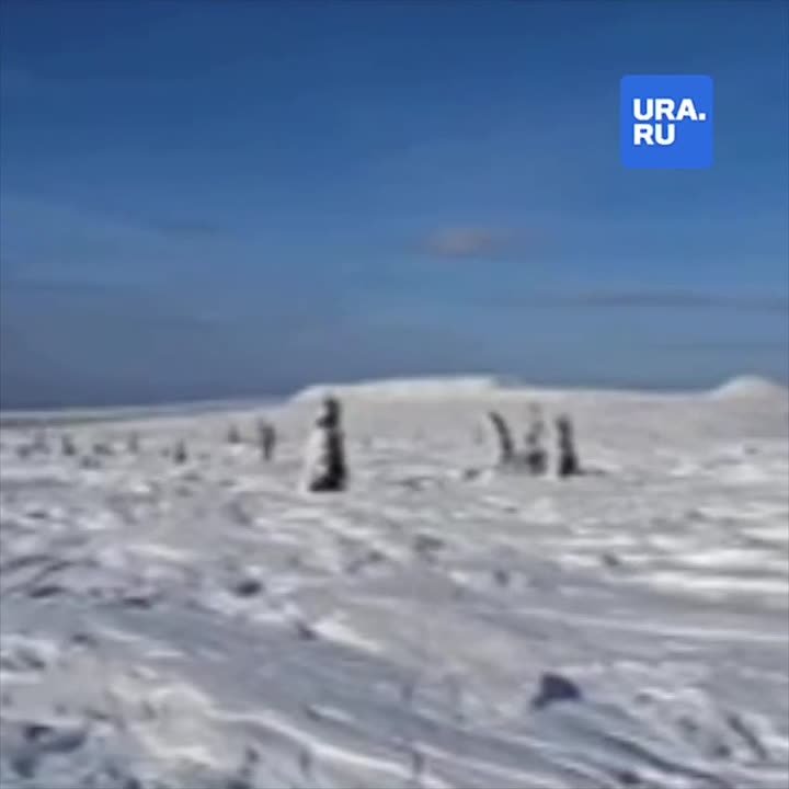 «Двое были еще живы»: депутат думы Ханты-Мансийска Андрей Корепанов был участником спасательной экспедиции, искавшей потерявшуюся группу в Прикамье, и рассказал ее подробности