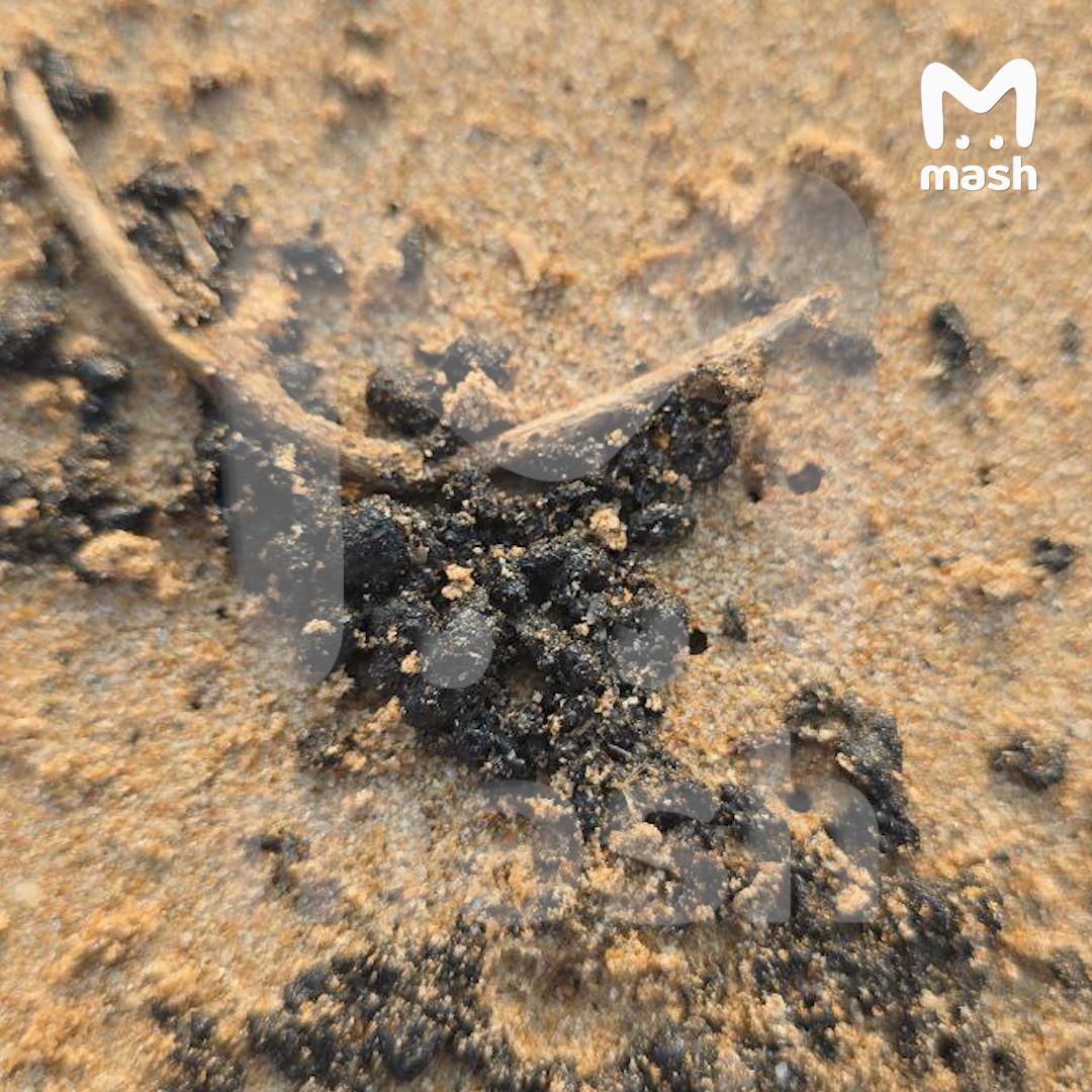 Нефтяные пятна достигли популярных пляжей Шри-Ланки после попадания иранских "Шахедов" по танкерам в Персидском заливе Нефтяные пятна достигли популярных пляжей Шри-Ланки после попадания иранских "Шахедов" по танкерам в Персидском заливе