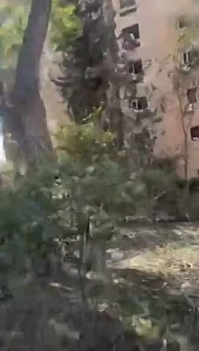 � ���� ���� ���������� ������������