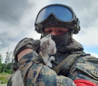 Будни фронта. Моменты СВО