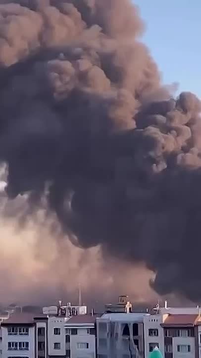 ���� �������: ����� ���� ��� ���������� � ��������� ����� �� ��������� ��������