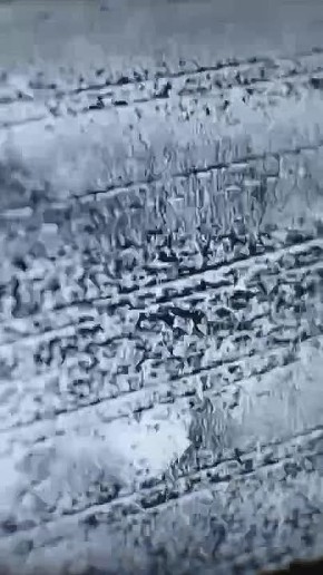 ���� �������: ������ ����� ���������� ���� � ������������� ����������� ������ (�. ��������)