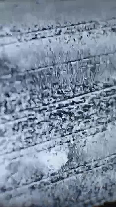 Юрий Котенок: Открыт набор операторов БПЛА в подразделение беспилотных систем (г. Балашиха)