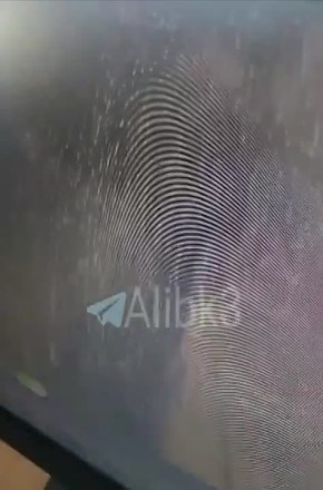 ���� ���������� ��������� �������� ����, ���������� �� ���������� ������