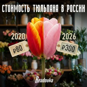 ���� � �������� � 8 ����� ���������� �� 15% ��-�� ��������