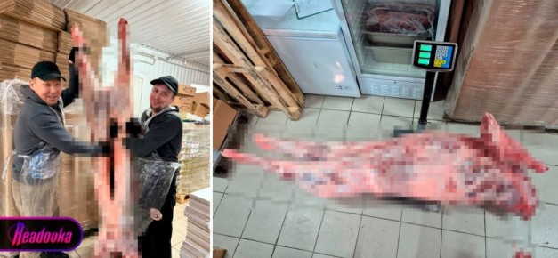 ������� ������ ��������� �� ����� � ��� ������ ������ �������� �����