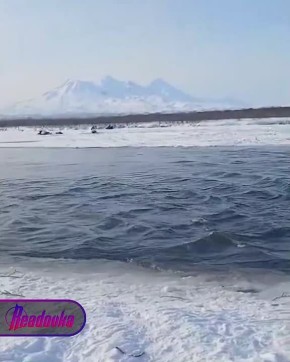 ������ �� �������� �������� ������ ������ �� ����������