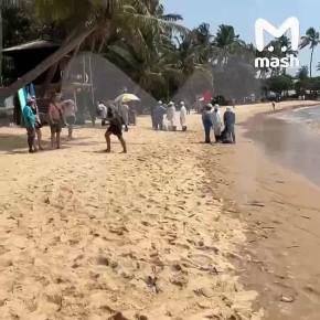 ����� ����� �� ����������� ����� ��������� �� ���-����� � ��-�� ������ ������� ��� ������ ����������� ��������