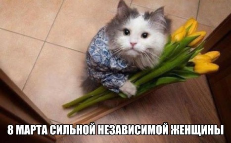 ���� ������� ��� �� ������