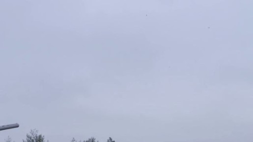 ���� ���������� ���������� �����: ��������� ��������������� ����