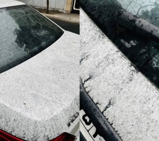 ���� �������: ������ ����� � �������� ����� ��������� ������ �� ���������������