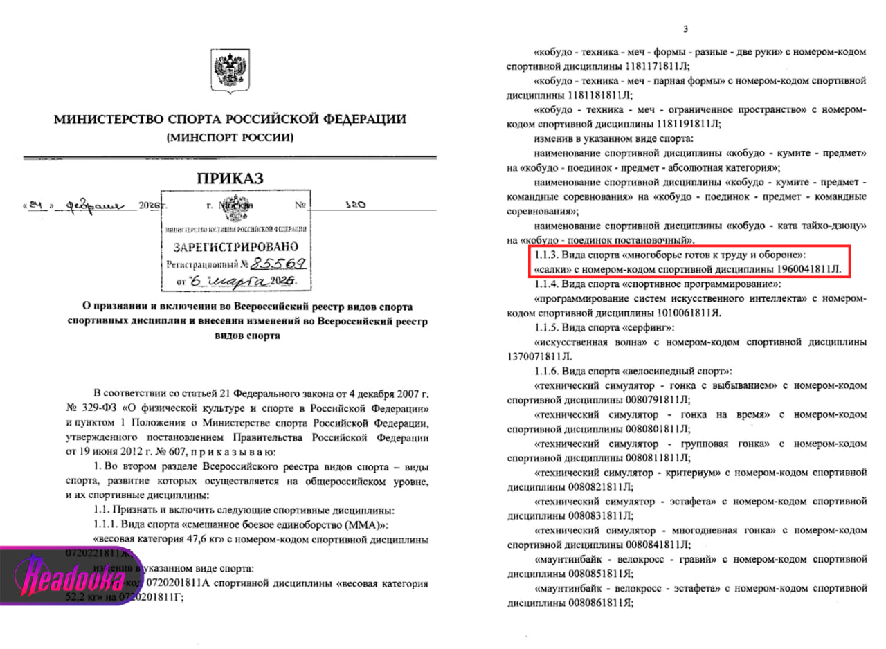 Салки, бросок шайбы и «русская тройка» стали официальными видами спорта в России