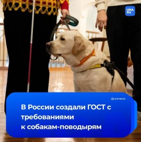 � ������ ������� ����������� ���� �� ����������� � �������-���������