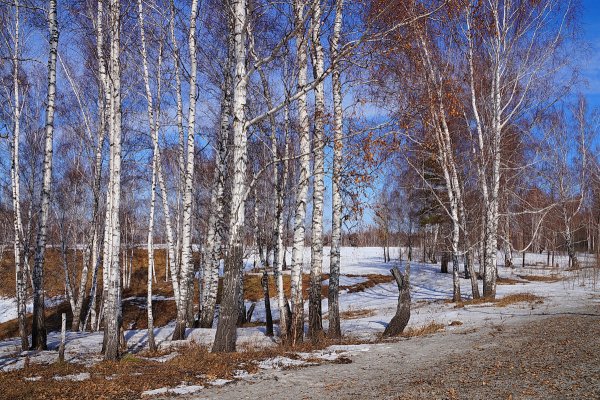 Вера Кондратьева: МАРТ НЕ ОСТАНОВИТЬ. Подходит к концу девятый день первого весеннего месяца