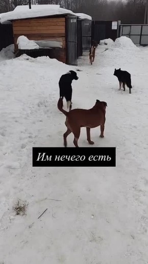 ���� �������: ���� � ������ �� ������: "�������� ���� ������ ��� ���