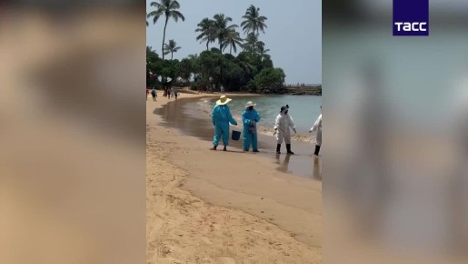 ���� �� ���-����� ��������, �������� �� ������ ����� � ������� �����