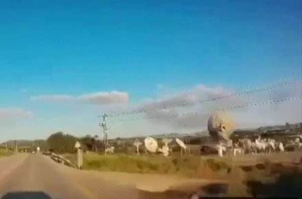 ��������� ������ ������ "��������" �� ���� ����������� ����� �������