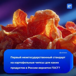 ���� �� ����� ������������