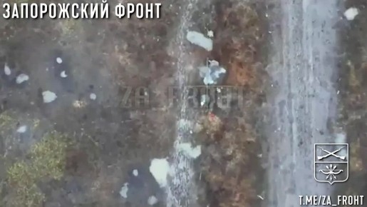 ����������� �����. ���������� �����������