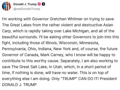 ����� ������ �������� ������ �������� ������������ �������