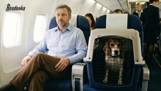 ��� ���� ������������ ������� �������� � ����� ��������