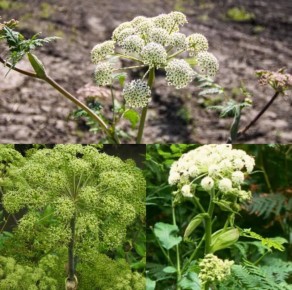 ������ ������ ��������, �� ������ ����� �����! � � ���� ����� ����������, ���������� ������