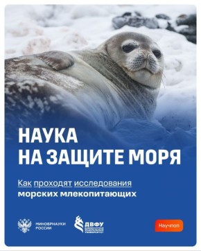 ������� ������������� �������� ������� ��� ������� �������