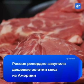 Ввоз говядины из Бразилии в Россию увеличился в четыре раза