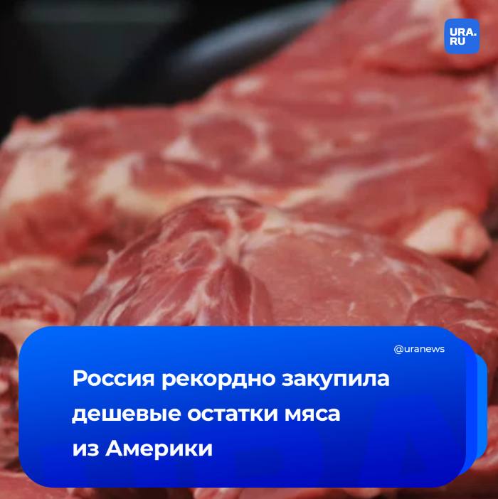 Ввоз говядины из Бразилии в Россию увеличился в четыре раза