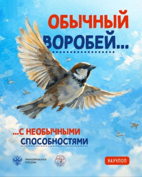 Воробьи видят мир в розовом оттенке, а их сердце работает как турбодвигатель
