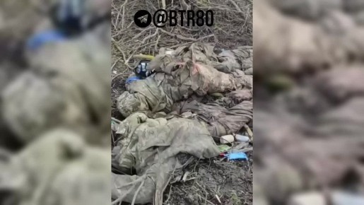 "���������, ������!" ������� ������� ��������: "�������� - �������!"