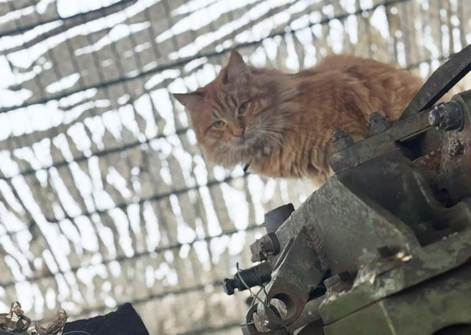 Моменты СВО .Будни фронта Моменты СВО .Будни фронта