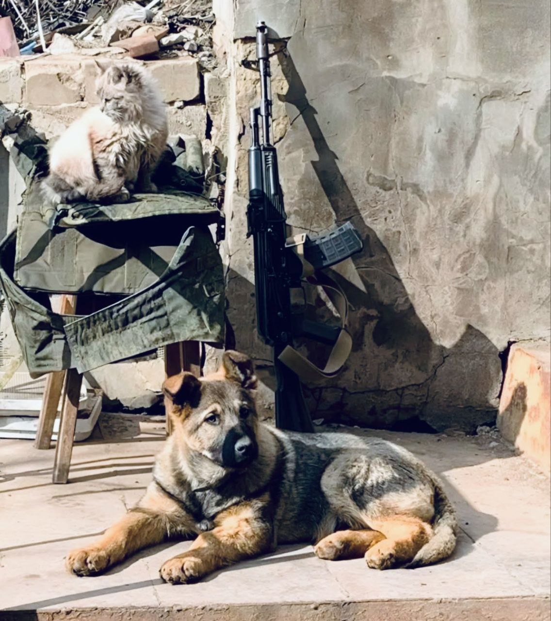 Моменты СВО .Будни фронта Моменты СВО .Будни фронта